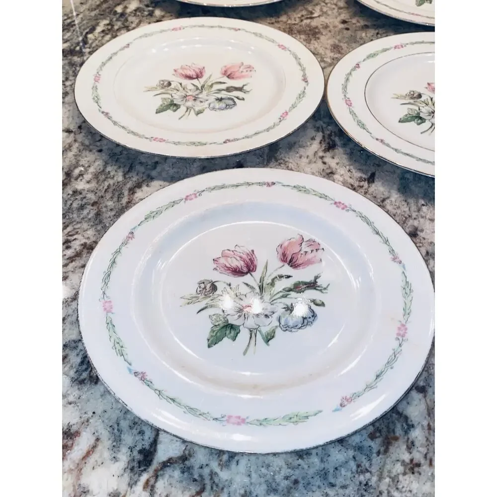 20 Theodore Haviland China New York Garden Flower Dinner Plates Lot Set Vintage